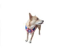 Dog Toy - Marvel - Hondenharnas - Maat M