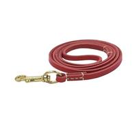 Dog Traction Rope, Dog Safety Belt, Ergonomic Training Tool, Leather & Latón Material, Lightweight and Sturdy, Walking and Training for Medium Dogs, 61.02x0.24x0.04 in.