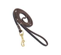 Dog Traction Rope, Dog Safety Belt, Ergonomic Training Tool, Leather & Latón Material, Lightweight and Sturdy, Walking and Training for Medium Dogs, 61.02x0.24x0.04 in.