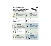 Dog Training Commands Poster Basic Obedience Guide for Pet Owners Wall Art Home Decor Gift for Dog Lover Pet Training Aid(Unframed,12X18inch(30X45cm))