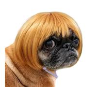 Dog Wig Human-Style Adjustable Funny - BangsHalloween Pet