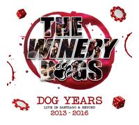 Dog Years Live In Santiago & Beyond (Blu-ray)