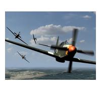 Dogfights - Dogfights: Desert Aces [USA] [DVD]