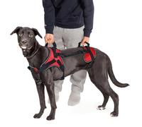 Doggie Stylz Chaleco Multifuncional de Levantamiento de Cuerpo Completo para Perro, diseñado para Levantamiento de Perros Solo Frontal, Trasero o de Cuerpo Completo