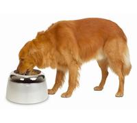 Dogit - Comedero Elevado para Perros Grandes