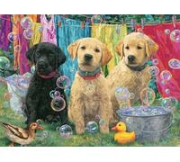 Dogs 5000 Piece Jigsaw Puzzles for Adults, Colourful, Challenging & Brainteasing Adult Puzzles 5000 Pieces Lawn Bubbles, Fun jigsaws for The Whole Family 61x41 Inch