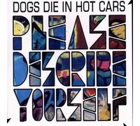 Dogs Die in Hot Cars - Please Describe Yourself