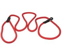 Dogs My Love Nylon Rope Slip Dog Lead Collar and Leash British Style 4ft Long (Medium: 3/8 (8mm), Red) by Dogs My Love