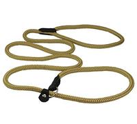 Dogs My Love Nylon Rope Slip Dog Lead Collar and Leash British Style 4ft Long (Small: 1/4 (6mm), Beige) by Dogs My Love