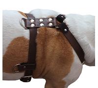 Dogs My Love Piel auténtica arnés del Perro Mediano a Grande 25 "-32 cm de Pecho, 1 cm de Ancho Ajustable Correas