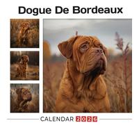 Dogue De Bordeaux Calendar 2026: Powerful and Gentle Giants with Wrinkled Charm