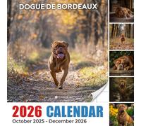 Dogue De Bordeaux Calendar 2026: Powerful presence and gentle hearts featured through the year | Kalender Calendario Calendrier