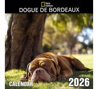 Dogue De Bordeaux Calendar 2026: Powerful presence and gentle hearts featured through the year | Kalender Calendario Calendrier