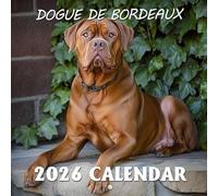 Dogue De Bordeaux Calendar 2026: Powerful presence and gentle hearts featured through the year | Kalender Calendario Calendrier