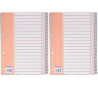 Dohe Basic - Índice A4, A-Z, 20 posiciones, color gris (Paquete de 2)