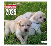 Dohe - Calendario 2025 de Pared - 12 Meses Enero a Diciembre, Tamaño A3 (30x30 cm), Incluye Planning Anual - Modelo PERROS