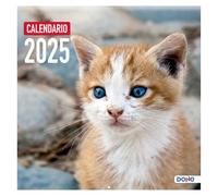 Dohe - Calendario 2025 de Pared - 12 Meses Enero a Diciembre, Tamaño A3 (30x30 cm), Incluye Planning Anual - Modelo GATOS