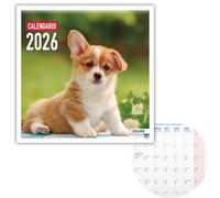 Dohe - Calendario Pared 2026-12 Meses Enero a Diciembre, Mes Vista, 30x30 cm, Idioma Español, Encuadernación de Grapas, Espacio para Notas, Planning del Año, Papel Grueso 120 gr/m² - Perros