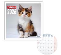 Dohe - Calendario Pared 2026-12 Meses Enero a Diciembre, Mes Vista, 30x30 cm, Idioma Español, Encuadernación de Grapas, Espacio para Notas, Planning del Año, Papel Grueso 120 gr/m² - Gatos