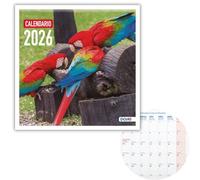 Dohe - Calendario Pared 2026-12 Meses Enero a Diciembre, Mes Vista, 30x30 cm, Idioma Español, Encuadernación de Grapas, Espacio para Notas, Planning del Año, Papel Grueso 120 gr/m² - Aves Exóticas