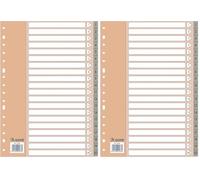 Dohe - Separadores Archivadores 2 y 4 anillas (20 uds.) - Índices Tamaño Folio (22,7x31,5 cm), Numerados 1-20, Plástico Resistente 120 Micras, 16 Agujeros - Color Gris (Paquete de 2)