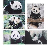 DOITOOL 10 Postales de Panda en Papel Showers y Proyectos Escolares, Pack de 10 Unidades Diseño Adorable y Resistente