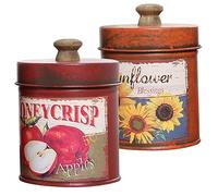 DOITOOL 2 Piezas Almacenamiento Vintage con Tapa Tarro De Azúcar Botes Antiguos Botes Metalicos De Cocina Jardinera De Hierro Jarra De Flores Oficina Planchar Anticuado Tarro Decorativo