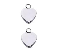 DOITOOL 2 Piezas Collar Inoxidable con Colgante Forma y Botella de Perfume para Mujer Joyería Elegante y Significativa para de San Valentín para Diario y Celebraciones