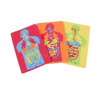 DOITOOL 3 Piezas Rompecabezas de órganos Humanos Puzzles Infantiles Brain Toys enigmath Body Organo Cuerpo Rompecabezas de órgano de Bricolaje Rompecabezas del digestivo Eva