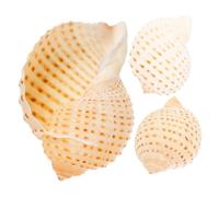 DOITOOL 3 unidades de conchas naturales para acuario, decoración de 8-10 cm, decoración creativa para jarrones, coronas y fiestas en la playa, versátiles para viviendas e ideas de manualidades
