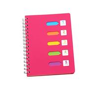 DOITOOL Color de color de color notebooks cuadernos notebook libreta notebook cuaderno del campus Computadora portátil auténtico alumno rosa tema de la nota cuadernos diario de escritura