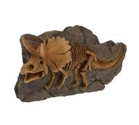 DOITOOL Fósil de Dinosaurio de Resina Marrón para Pared Decorativa | Adorno Colgante para Dormitorio y Sala, Diseño Natural y Artístico, Pieza Realista y Detallada
