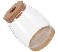 DOITOOL Jarrón Hidropónico de Vidrio Grande para Plantas de Escritorio, 2 Unidades con Tapón Perforado de Corcho y Bandeja de Bambú, Recipiente para Propagación Hidropónica en Interior,