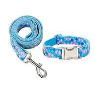 DOITOOL Juego De Collar y Arnés para Perro Nylon Resistente Correa Halti Cómoda Accesorios para Mascotas