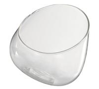 DOITOOL Terrario de Vidrio Inclinado 16,5x16,5 Cm para Micropaisajes Musgo, Botella Ecológica Transparente para Decoración y Almacenamiento en Hogar y Jardín