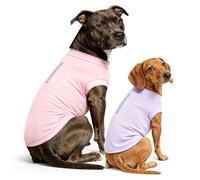 Dolahovy Camisa Perro protección UV 2Pack, Camiseta Ligera Perro Chaleco enfriamiento Secado rápido Ropa Verano Mascotas Confort Perros Camisas Sol para Perros pequeños y medianos Gatos Grandes