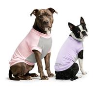 Dolahovy Camisa Perro protección UV 2Pack, Camiseta Ligera Perro Chaleco enfriamiento Secado rápido Ropa Verano Mascotas Confort Perros Camisas Sol para Perros pequeños y medianos Gatos Grandes