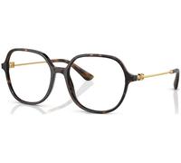 Dolce e Gabbana DG3364 C54 502 Concha