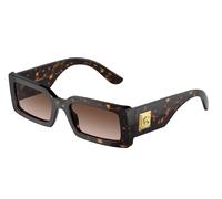 Dolce e Gabbana DG4416 502/13 53