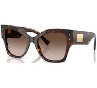 Dolce e Gabbana DG4478 C53 502/13 Concha