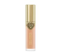 ¡20% DTO! Everlast Concealer Dolce & Gabbana