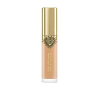 ¡20% DTO! Everlast Concealer Dolce & Gabbana