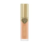 ¡20% DTO! Everlast Concealer Dolce & Gabbana