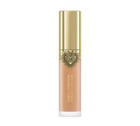 Everlast Concealer 19 MEDIUM