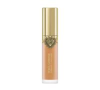 ¡20% DTO! Everlast Concealer Dolce & Gabbana