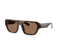 Dolce&Gabbana Hombre Sunglass DG6206 - Color del Marco: Habana, Color de la Lente: Marrón Oscuro