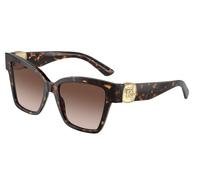 Dolce & Gabbana Mujer Dolce & Gabbana DG4470 502/13 Gafas de sol Acetato Tortuga Marrón Cuadrada Normal Sombreado