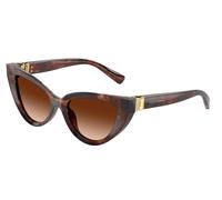 Dolce & Gabbana Mujer Dolce & Gabbana DG4497 322274 Gafas de sol Acetato Rojo Marrón Cat Eye Normal Sombreado