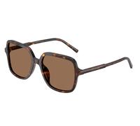 Dolce & Gabbana Mujer Dolce & Gabbana DG4539 502/73 Gafas de sol Acetato Tortuga Marrón Cuadrada Normal