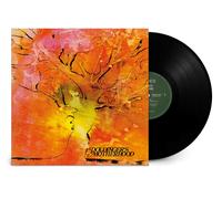 Doldinger's Motherhood Motherhood (Vinyl) 12" Album